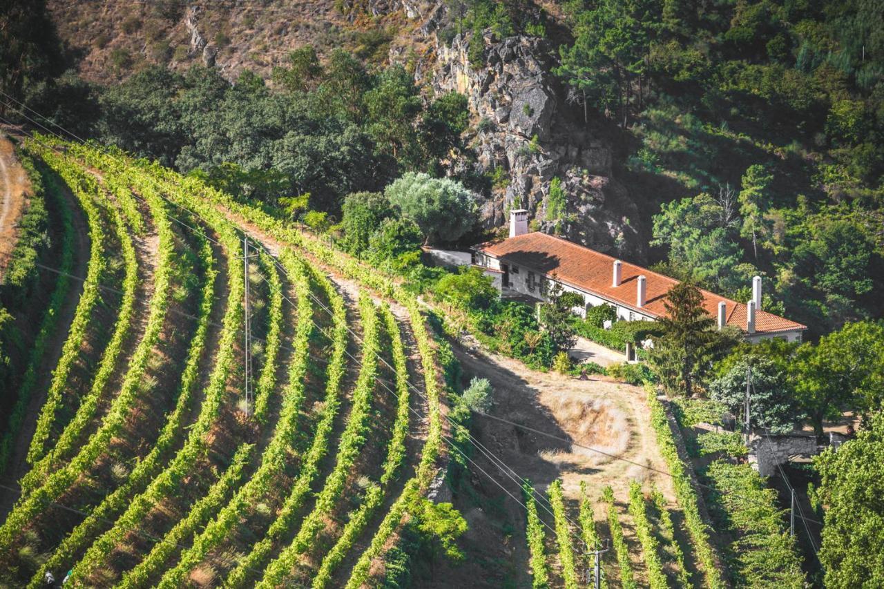 Quinta do Valdalágea Casa de hóspedes Peso da Régua Exterior foto