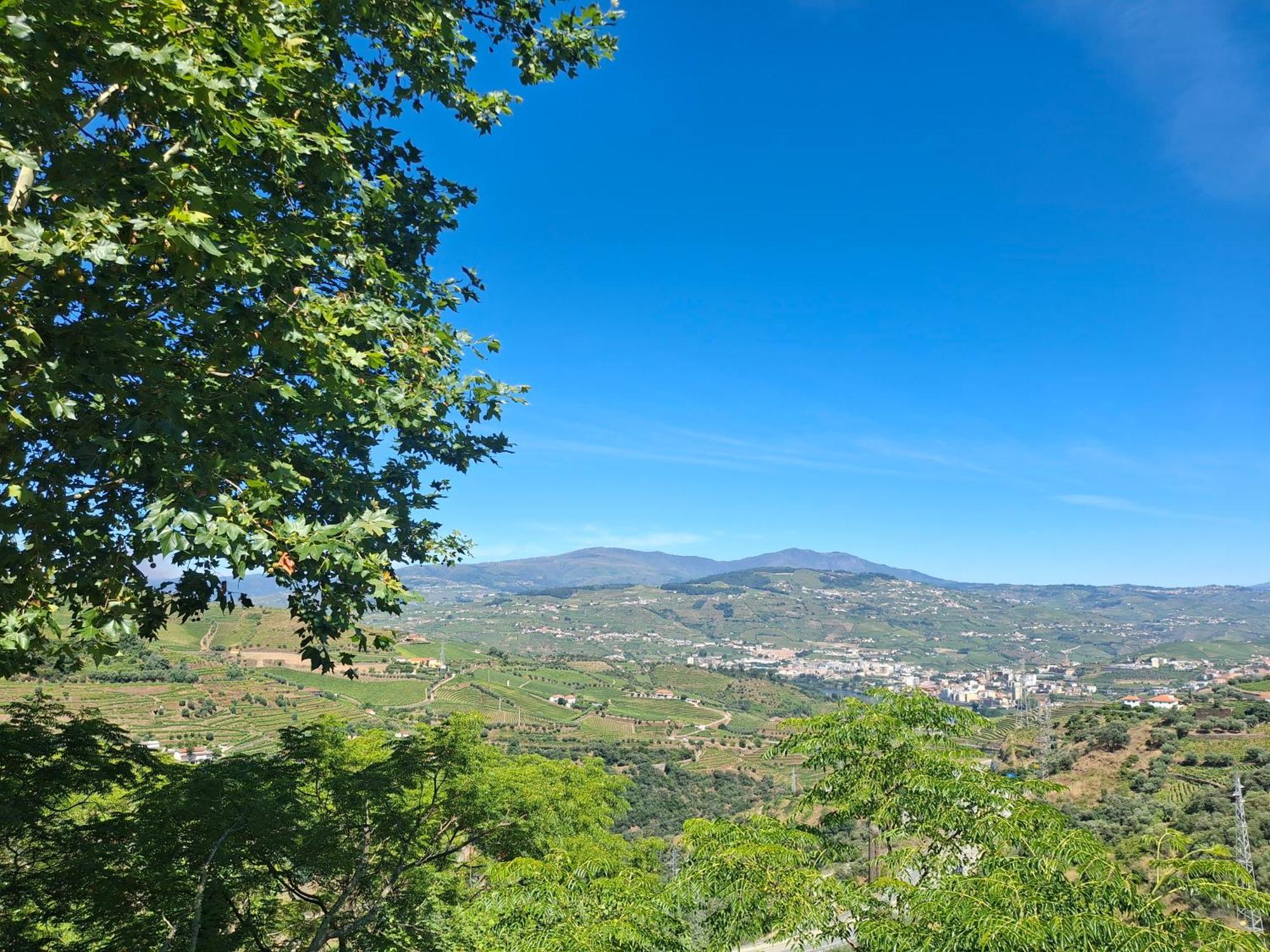 Quinta do Valdalágea Casa de hóspedes Peso da Régua Exterior foto