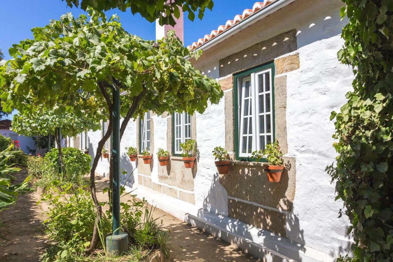 Quinta do Valdalágea Casa de hóspedes Peso da Régua Exterior foto